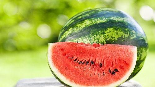 减肥可以吃网瓜吗会胖吗,减肥期间的理想食品，不会导致发胖？