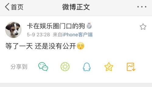 爆料预测吃瓜,最新爆料，吃瓜群众围观明星幕后故事