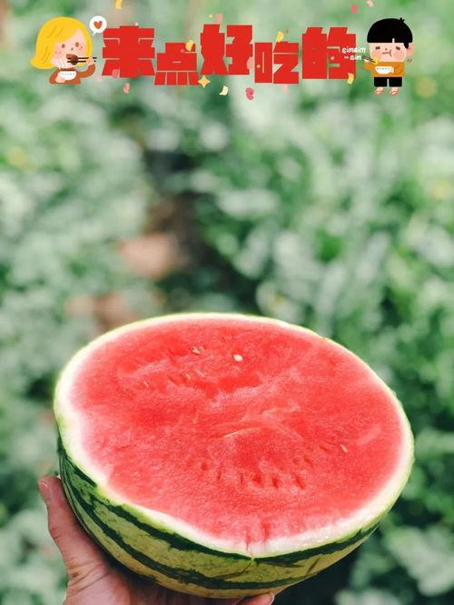 地产吃瓜爆料图片,吃瓜群众揭秘幕后真相